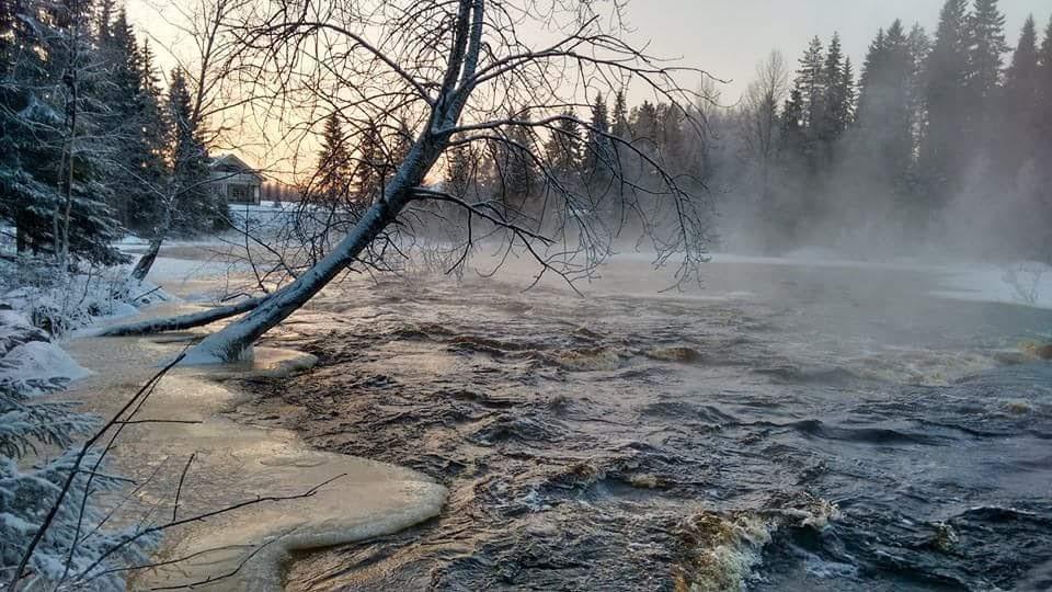 Keskikosken Lomamoekit Venajanjarvi Eksteriør bilde
